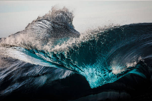 Abstract Ocean